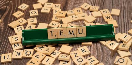 What is Temu and the Logic Behind its Operation.